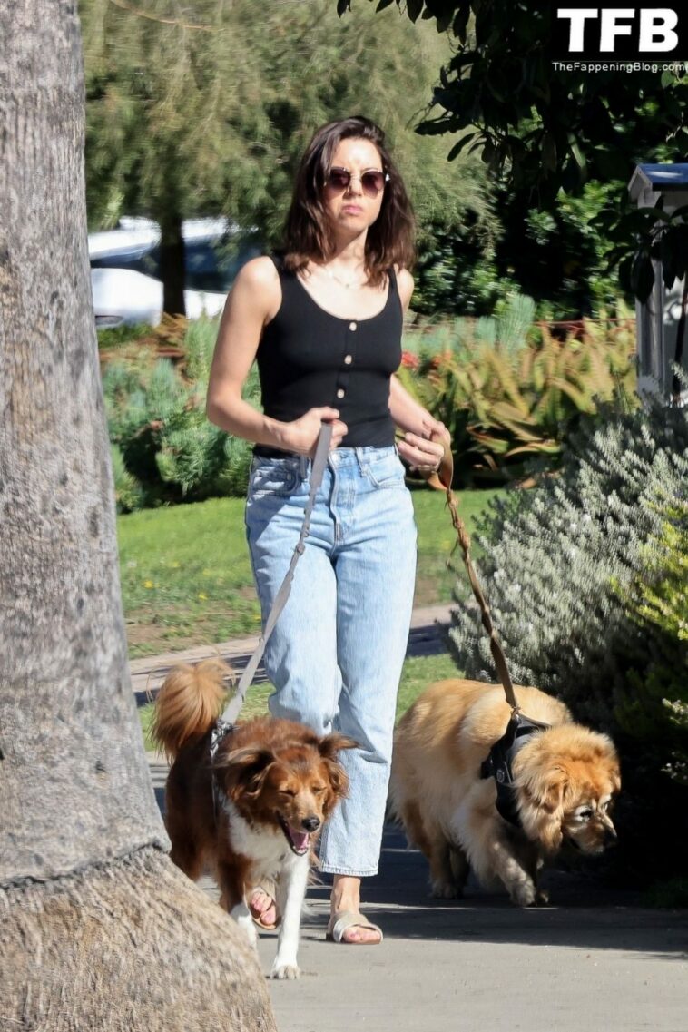 Braless Aubrey Plaza Takes Her Dogs Out For a Morning Walk (29 Photos)