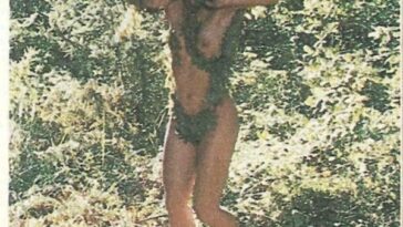 Julia Louis-Dreyfus Topless (1 Photo)