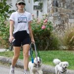 Lucy Hale Gets Busy on Her Phone During a Dog Walk in Studio City (31 Photos)