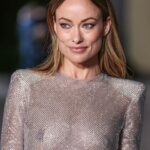 Olivia Wilde Looks Stunning in a See-Through Dress at the 2nd Annual Academy Museum Gala (89 Photos)