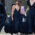 Olivia Wilde Flaunts Her Sexy Tits in LA (17 Photos)