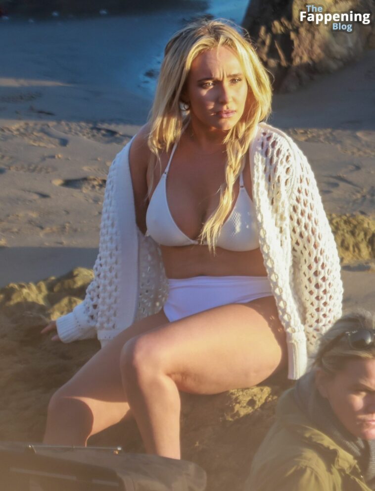 Hayden Panettiere Shows Off Her Sexy Figure on the Beach in Malibu (80 Photos)