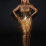 Beyoncé Flaunts Her Curves in a Sheer Gold Dress (12 Photos)