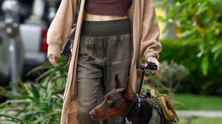 Braless Paris Jackson Takes Her Huge Dog Out For a Stroll (10 Photos)
