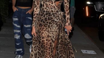Anastasia Karanikolaou is Seen in a Leopard Print Dress at the D&G Logo Bag Launch (18 Photos)