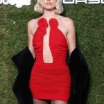 Elsa Hosk Displays Her Slender Figure in a Red Dress at the Fashion Show (38 Photos)