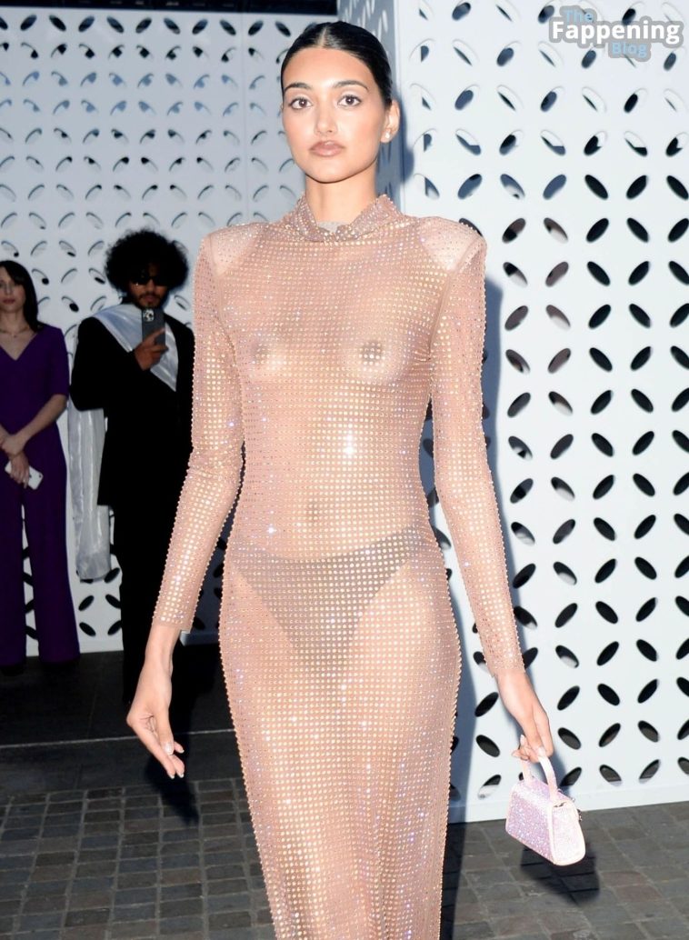 Neelam Gill Flashes Her Nude Tits in a See-Through Dress (15 Photos)