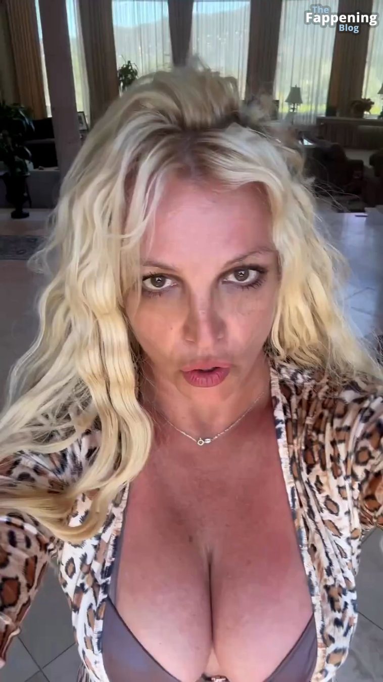 Britney Spears Stuns in a Leopard Bodysuit (17 Photos + Video)