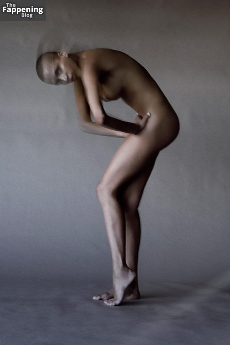 Noemie Lenoir Nude & Sexy Collection (9 Photos)